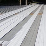 WhatsApp Image 2025-09-13 at 3.59.36 AM