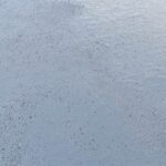 WhatsApp Image 2025-09-13 at 4.06.11 AM (2)