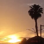 WhatsApp Image 2025-09-13 at 4.06.12 AM (2)