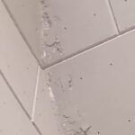 WhatsApp Image 2025-09-19 at 4.12.06 AM (1)