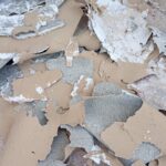 WhatsApp Image 2025-09-19 at 4.12.09 AM